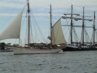 Hanse sail 2010.SANY3850